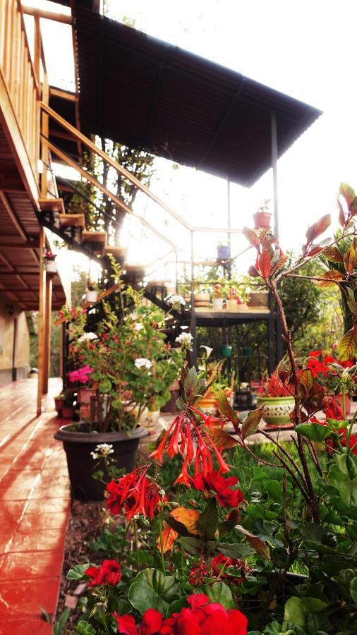 Hotel Hospedaje Venka Urubamba Exteriér fotografie